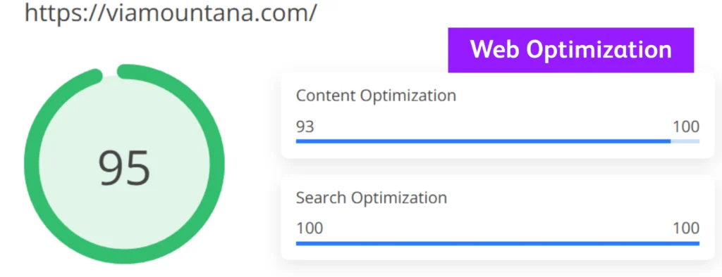 Web Optimization | stcdigitol