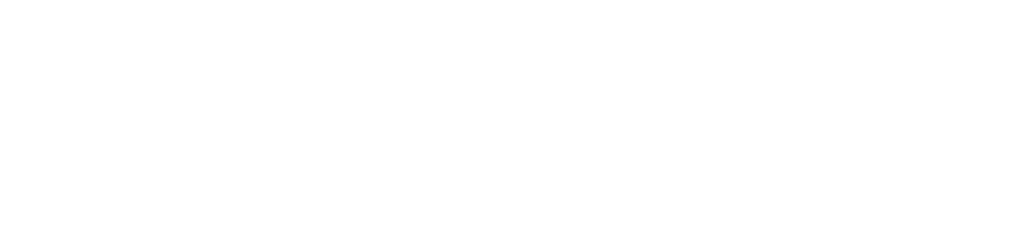 Wordpress Logo | Stcdigitol