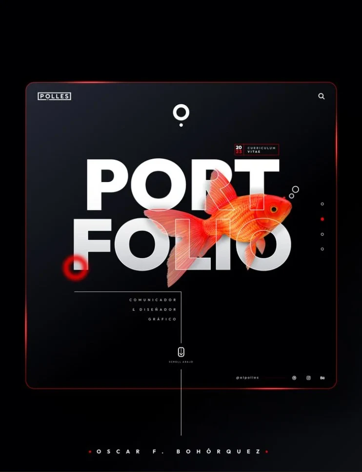 Web design services by Safal Chhetri